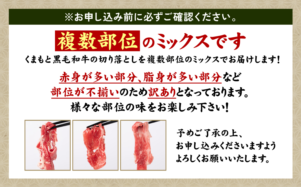 【訳あり】 くまもと黒毛和牛 切り落とし 600g（300g×2） 黒毛和牛 牛肉 和牛 ブランド牛 ブランド和牛 訳あり牛肉 ブランド牛肉 牛肉切り落とし ブランド牛切り落とし 小分け 熊本県産 く