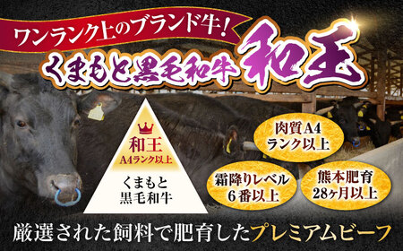 熊本県産 A5等級 黒毛和牛 和王赤身ブロック 約500g【帝神志方ミート 株式会社】[AYCH014]