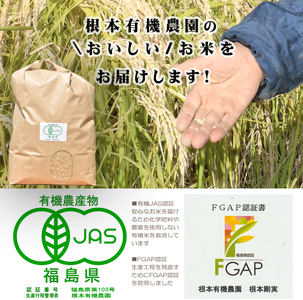 【令和6年産】南相馬・根本有機農園のJAS有機米天のつぶ10kg（玄米）【3004701】