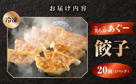 【美ら島あぐ～】餃子（20個入り／1パック×20個入り）