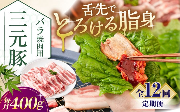 
            【全12回定期便】三元豚 バラ 焼肉用 400g (200g×2P)《喜茂別町》【平田牧場】 肉 豚肉 豚バラ バラ カルビ 焼肉 スライス 冷凍 冷凍配送 定期便 北海道 平田牧場 [AJAP158]
          