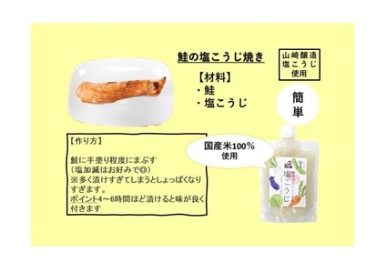 10P171 野菜がおいしくなる塩こうじ250g×6個【簡単シリーズ】 塩こうじ 国産米100％使用 山崎醸造 新潟 小千谷