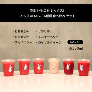 【先行予約】寿氷 いちご 6 ( シックス )  とちぎ の いちご 6種類 食べ比べ セット レギュラー 真岡市 栃木県