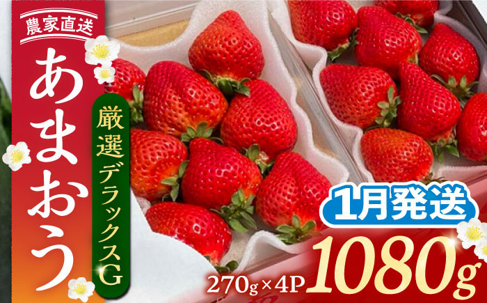 
                  【2027年1月発送】農家直送 あまおう 厳選デラックスG 1080g (270g以上 × 4パック) 土耕栽培《豊前市》【内藤農園】[VAB003] 果物 いちご 先行予約
                