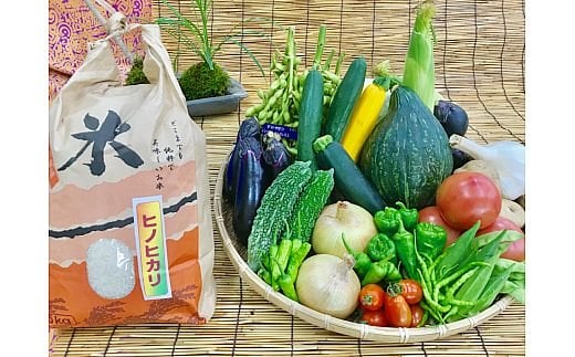 
【野菜とお米5kgセット】産地直送！新鮮とれたて旬の野菜＆ひのひかり5kg [1141]
