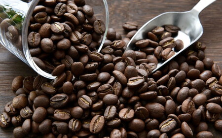 自家焙煎コーヒー豆（ストロングブレンド・ヨーロピアンブレンド）各300gとカリタ102コーヒーフイルター100枚セット