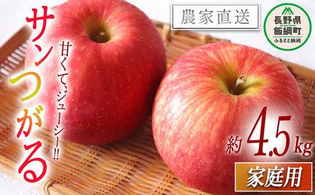 りんご サンつがる 家庭用 4.5kg 松橋りんご園 沖縄県への配送不可 2025年9月上旬頃から2025年9月中旬頃まで順次発送予定 令和7年度収穫分 フルーツ リンゴ 信州 長野県 飯綱町 [0823]