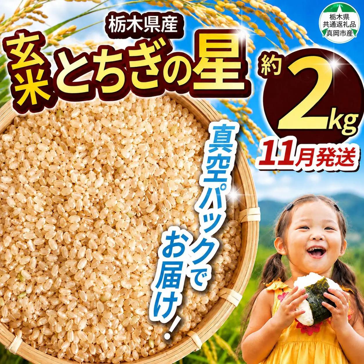  訳あり 【令和8年度新米】【栃木県共通返礼品】栃木県産とちぎの星 2kg（玄米真空パック）11月発送 | とちぎの星 玄米 米 ごはん  冷めてもおいしい ふるさと納税 那珂川町 栃木県
