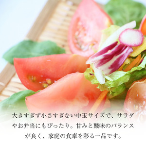 【先行予約】 トマト 中玉 1.5kg 野菜 やさい トマト トマト トマト トマト
