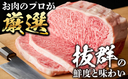 【全3回定期便】おおいた豊後牛 サーロインステーキ 500g (250g×2枚) 日田市 / 株式会社MEAT PLUS　肉 牛肉 和牛[AREI056]