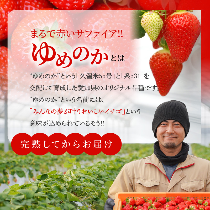 （予約受付中）【12月以降順次発送】まるで赤いサファイア!!丹精込めた完熟いちご!! 約450g H130-012