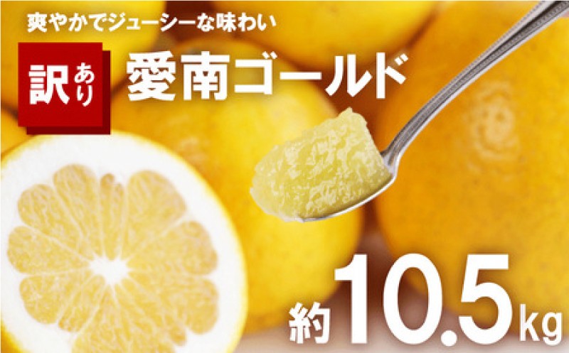 
                  訳あり 河内晩柑 10.5kg サイズミックス 10000円 みかん かわちばんかん ミカン mikan わけあり 愛南ゴールド 家庭用 あいなん ゴールド 美生柑 文旦 派生 和製 グレープフルーツ 産地直送 国産 農家直送 期間限定 数量限定 ビタミン 特産品 人気 限定 甘い おいしい 小玉 含む フルーツ 果物 柑橘 蜜柑 アイス ジュース 等に 規格外 大樹農園 愛南町 愛媛県
                