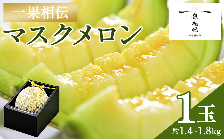 【14日程度で発送】一果相伝 マスクメロン 1玉入り - 送料無料 果物 くだもの フルーツ めろん 青肉 贈答用 贈り物 のし ご褒美 お礼 御礼 お祝い 御祝 ギフト 甘い 産地直送 篤農 tn-0010