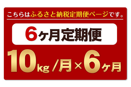 【6ヶ月定期便】令和6年産 新米 定期便 ひのひかり 10kg 《申込み翌月から発送》 ｜人気米 熊本県産米 お米 生活応援米