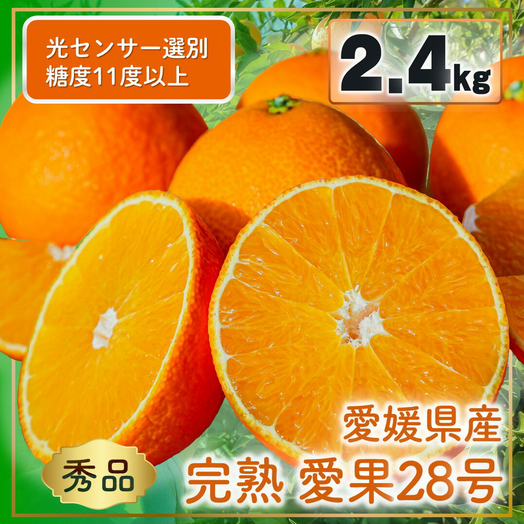 【ふるさと納税】 【先行予約】完熟 愛果 28号 秀品 2.4kg (8～15個) 光センサー選別 糖度11度以上 【11月下旬～12月下旬発送】 柑橘 果物 フルーツ ジューシー あいか 愛果 みかん まどんな マドンナ 数量限定 ご当地 松山市 愛媛県