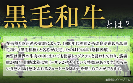 くまもと黒毛和牛 サーロインステーキ 1000g 黒毛和牛