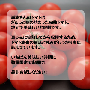 岸本くんの完熟トマト 大玉 4kg 発送期間：12月10日～2月28日	