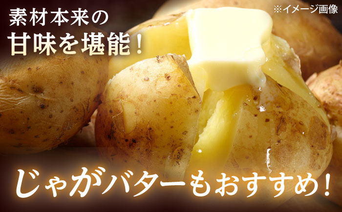 【2026年11月上旬以降順次発送】 じゃがいも キタカムイ（まっかりじゃが）5kg | 野菜 じゃがいも ジャガイモ キタカムイ 北海道 産地直送 | 道の駅 真狩フラワーセンター [BPAM048