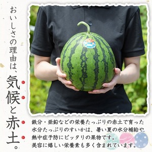 ＜先行予約受付中！2026年7月上旬以降順次発送予定＞幻のブランド「きさきのスイカ」(1玉・約6kg) スイカ すいか 西瓜 果物 フルーツ 野菜 旬 夏 おやつ 水分補給 熱中症対策 木佐木野 【竹