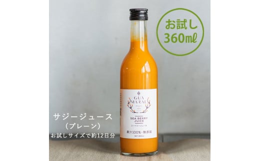 サジー グアマラルサジー【お試し】サジー 360ml｜サジージュース サジー シーベリー 沙棘 グアマラル 健康ドリンク 健康 美容 栄養 果汁 鉄分補給 栄養補給 健康食品 ギフト 贈答 贈り物 プレゼント お祝 ご褒美 記念日 記念品 お中元 お歳暮 _DX16