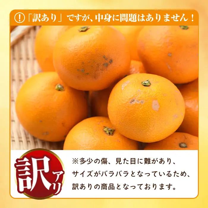 ＜先行予約受付中！2027年2月上旬以降順次発送予定＞訳あり！まなべみかん園の紅八朔(約10kg) 国産 鹿児島県産 阿久根市産 柑橘類 みかん 蜜柑 果物 ミカン デザート フルーツ 数量限定 期間