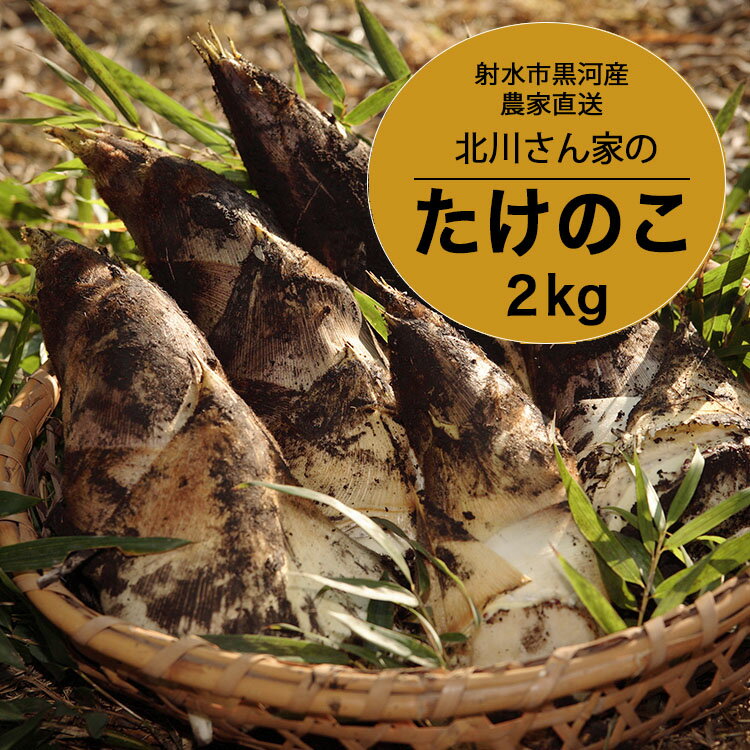 【ふるさと納税】【射水市】【射水のおいしい食品】射水市黒河産 農家直送 北川さん家の たけのこ 2kg ※2026年4月中旬～4月下旬頃に順次発送予定※離島への配送不可