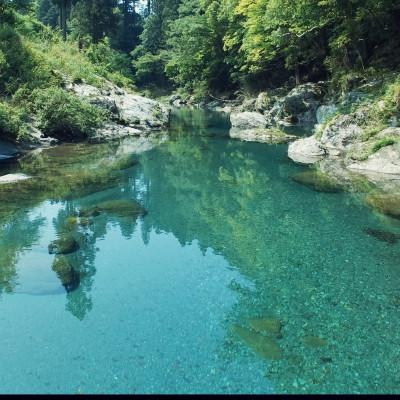 ふるさと納税 南国市 【毎月定期便】【土佐野菜】朝採れ　旬の野菜の詰め合わせ 大全3回 |  | 03