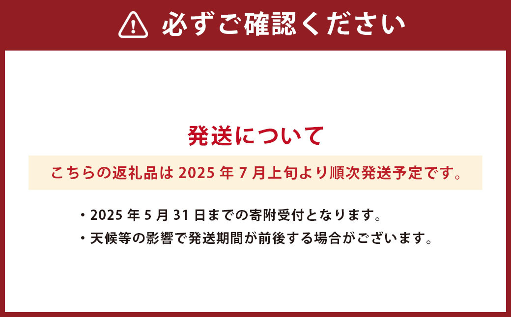 熊本県産ハウスみかん 約5kg