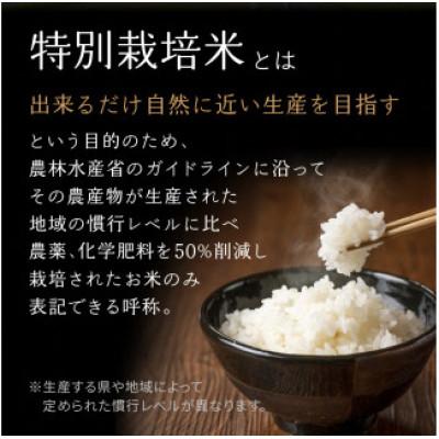 ふるさと納税 木津川市 特別栽培米 京都府木津川市産ひのひかり 玄米20kg(5kg×4) 毎日の健康に |  | 01