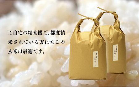 米 【特A】「元気つくし」5kg×2袋 [10kg] [玄米] [ABDF031] 米 ご飯 ごはん こめ コメ おにぎり 