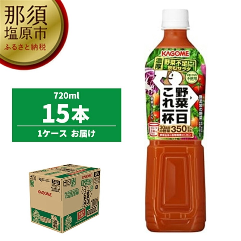 カゴメ　野菜一日これ一杯　720mlPET×15本【 飲料 野菜ジュース 栃木県 那須塩原市 】 ns001-032