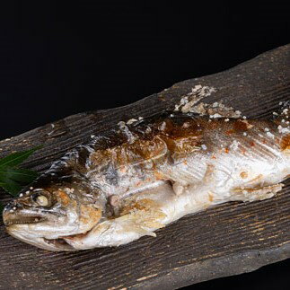 【ふるさと納税】あまご炭火串焼き　1尾　天然塩使用