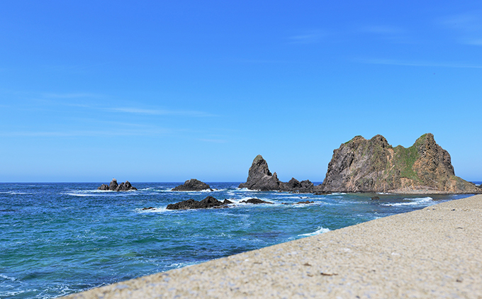 奥尻島 ファットバイク 1日乗り放題 1名様分 (温泉チケット付) 北海道 奥尻町