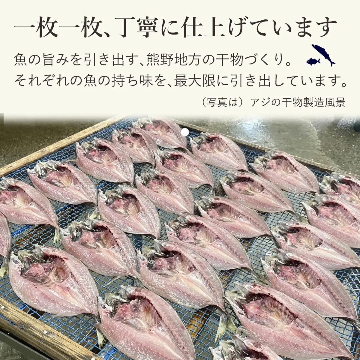 干物 さんま丸干し 10本 さんま干物【mtys0010】