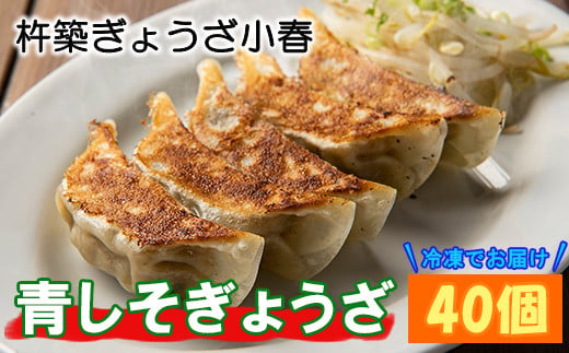 
杵築ぎょうざ小春の青しそぎょうざ 40個 冷凍 餃子 人気 国産 ぎょうざ ギョーザ ＜152-002_5＞
