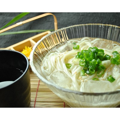 和泉手延べ麺　半生もどし長そうめん・乾ひやむぎ(計19人前)　たつみ麺店(STSSD)