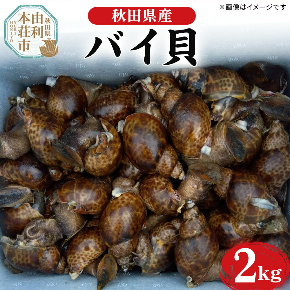 【ふるさと納税】《一部地域限定配送》活バイ貝 2kg 由利本荘市産