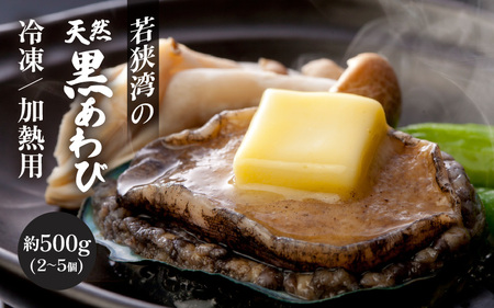 入手困難 日本海若狭湾の天然黒アワビ 約500g（2～5個）冷凍・加熱用 あわび アワビ 鮑 クロアワビ 黒あわび [m17-b001]