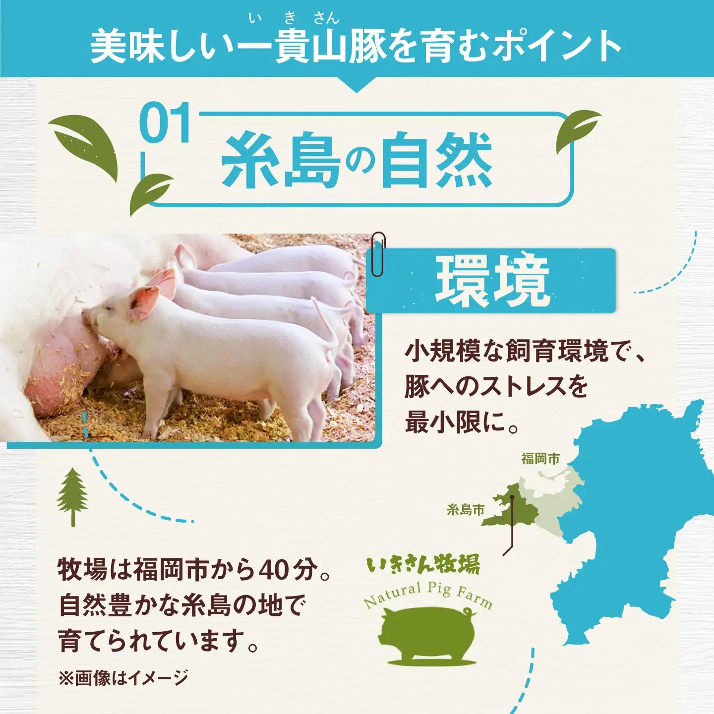 一貴山豚 ロースとんかつ・トンテキ用 計480g(120g×4枚) 糸島市 / いきさん牧場 豚肉 冷凍 [AGB030]