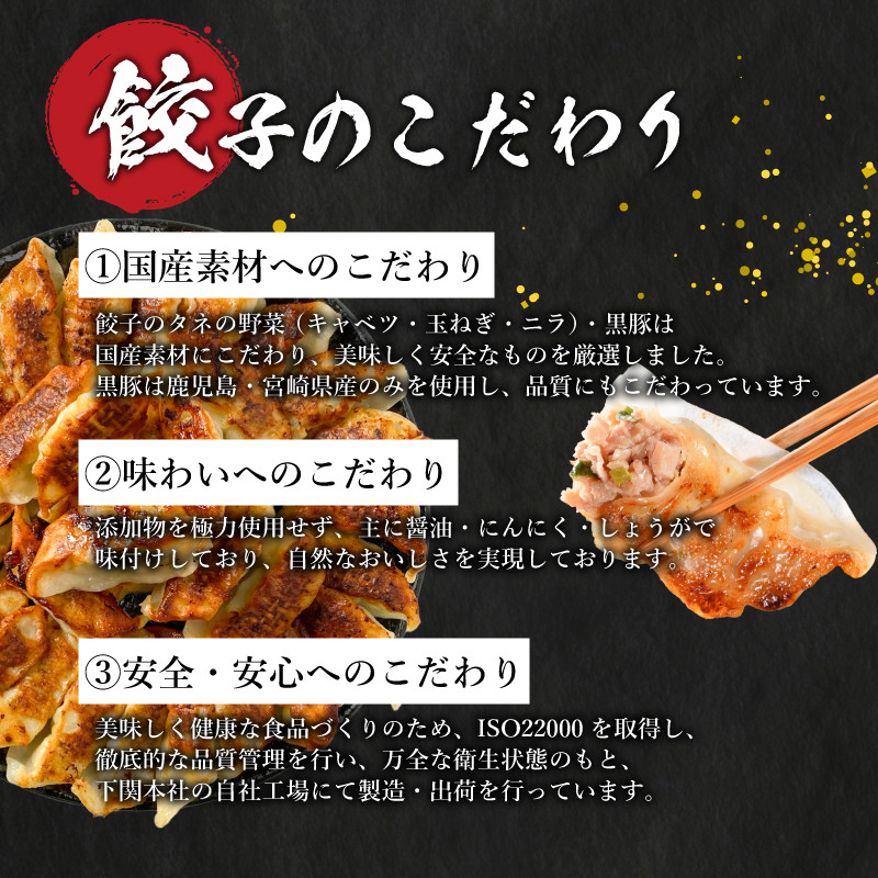 訳あり 黒豚餃子 3回 隔月 定期便 180個 12個×15パック 冷凍 小分け たれ付き 大容量 ぎょうざ ギョウザ ギョーザ