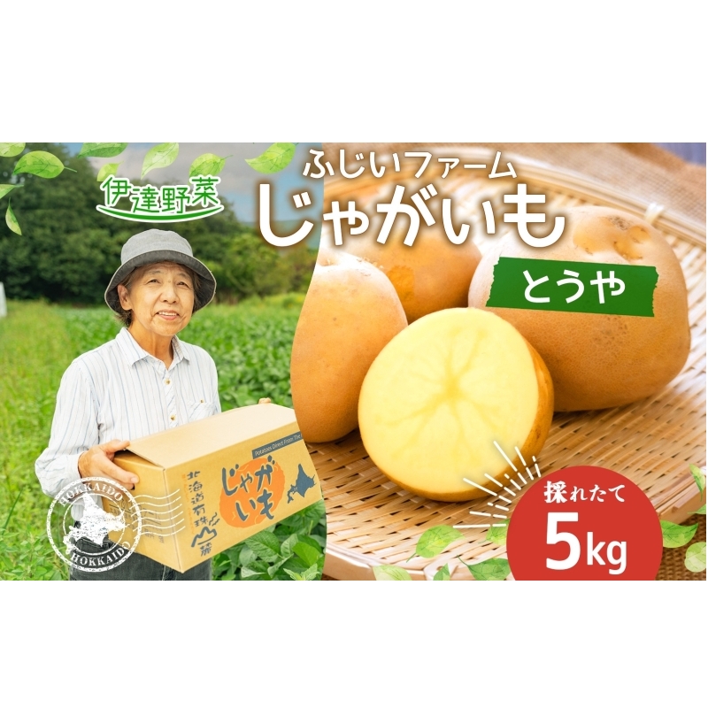 北海道産 じゃがいも とうや 約5kg ジャガイモ 馬鈴薯 ポテト 芋 イモ 先行受付 産地直送 国産 野菜 農作物 甘い ホクホク しっとり 煮物 カレー 肉じゃが 人気 ふじいファーム  送料無料