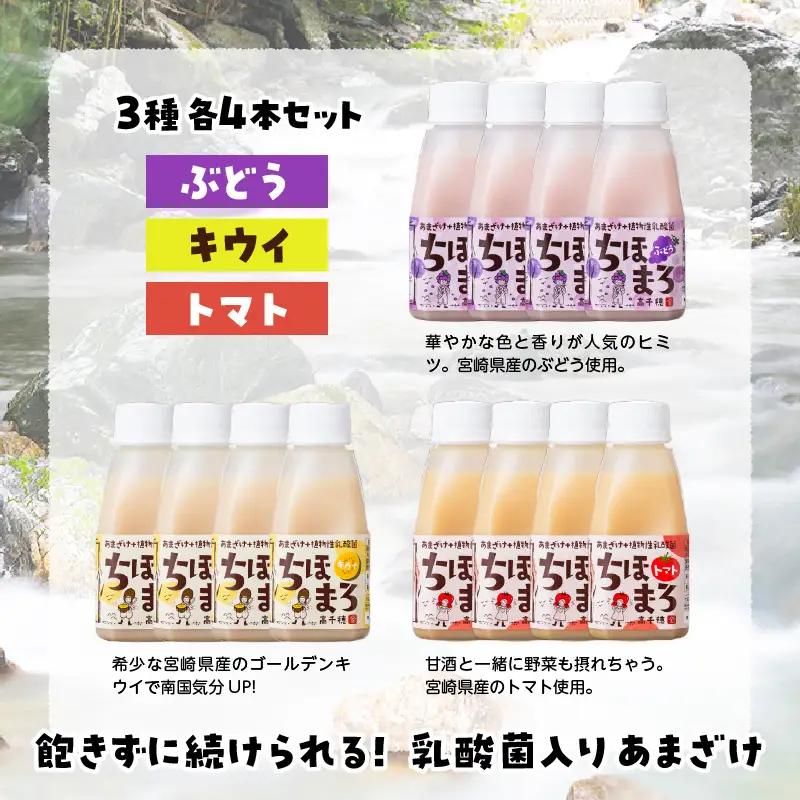 乳酸菌入りあまざけ ちほまろ 150g　12本セット【キウイ トマト ぶどう】 ノンアルコール 贈答 贈り物 おすそ分け 日課 ドリンク 無添加 無加糖 飲み物 乳酸飲料 飲料 宮崎県 高千穂町 _T