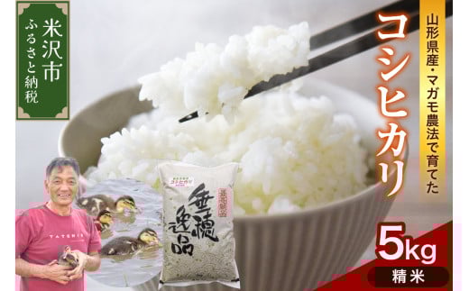【 令和7年産 】コシヒカリ 5kg《精米》 有機肥料100% 栽培期間中 農薬不使用 2025年産 農家直送
