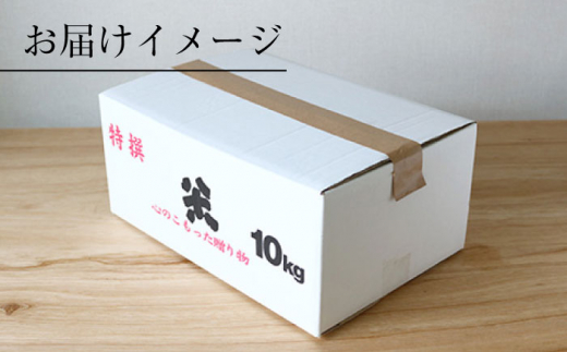 【 令和5年産 新米 ☆先行予約】【木村式自然栽培】 白米 くまみのり 約 10kg ＜ハマソウファーム＞ [CBR013]