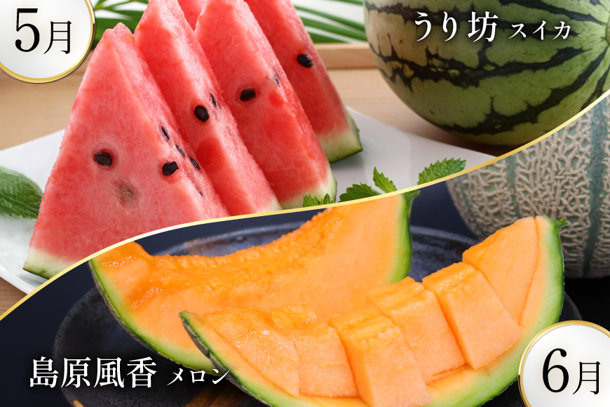 AJ699 【8回定期便】 夏のフルーツと長崎和牛 定期便 [ 果物 フルーツ びわ すいか 小玉スイカ メロン 赤肉メロン ナシ 梨 長崎和牛 定期便 和牛 お肉 肉 牛 牛肉 国産 ステーキ]_イ