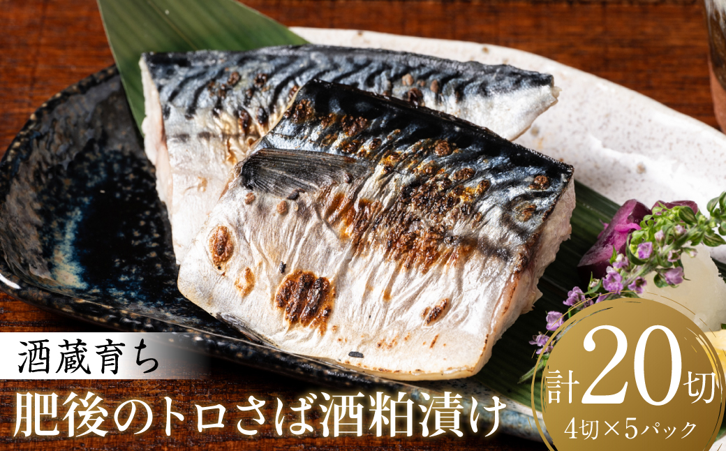 酒蔵育ち 肥後のトロさば 酒粕漬け 4切入×5パック 合計20切 おかず レシピ トロサバ とろさば 赤酒 酒粕 粕漬 さば サバ 鯖 焼き魚 魚 熊本 八代市