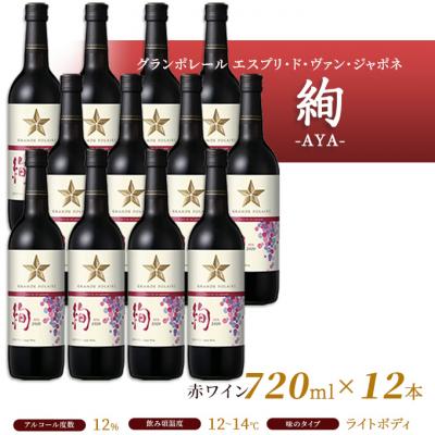 ふるさと納税 赤磐市 エスプリ ド ヴァン ジャポネ 絢 -AYA- 12本(1本 720ml)[NO5765-0932] |  | 02