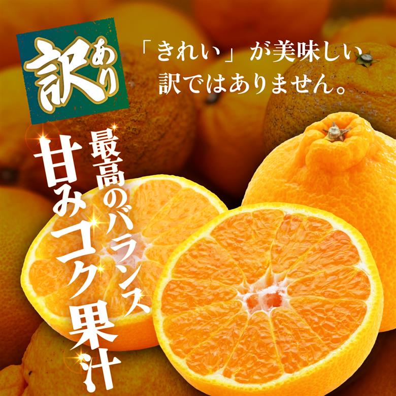 ＜【訳あり】愛媛県産 デコ 約3kg＞『2027年2月上旬～6月下旬迄順次発送予定』 わけあり 訳アリ 果肉 わけあり でこぽん デコポン みかん 蜜柑 訳あり 果物 くだもの フルーツ ミカン 果汁