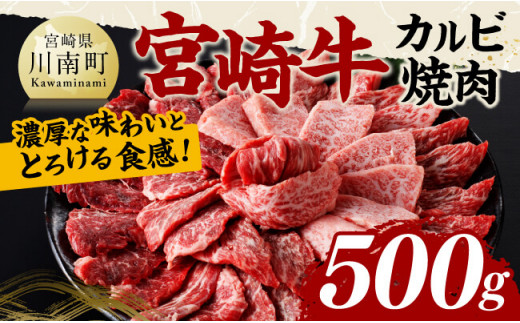 宮崎牛 カルビ焼肉 500g 【 肉 牛肉 国産 宮崎県産 黒毛和牛 カルビ 焼肉 】[D11428]