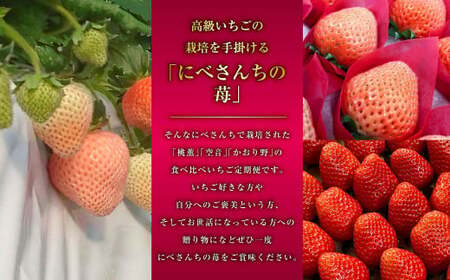 【3か月連続定期便】にべさんちの苺 熊本県産イチゴ食べ比べ定期便 (かおり野・桃薫・空音) 【2027年1月下旬発送開始】